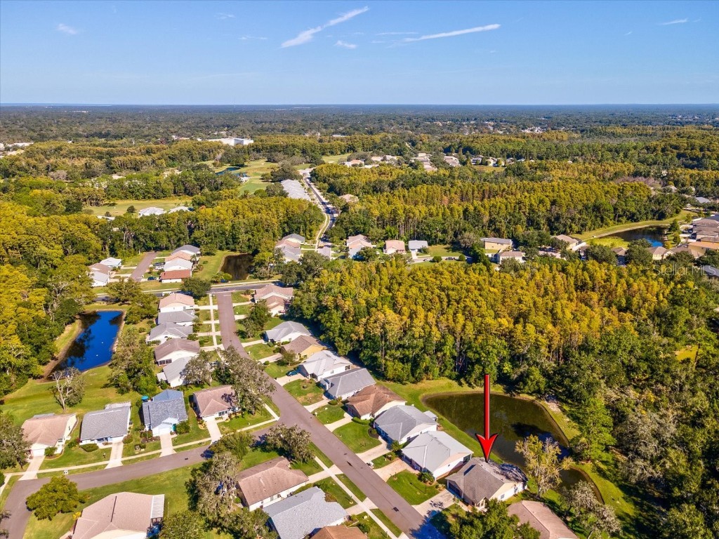 11636 Aspenwood Drive New Port Richey FL 34654 W7880208 image37