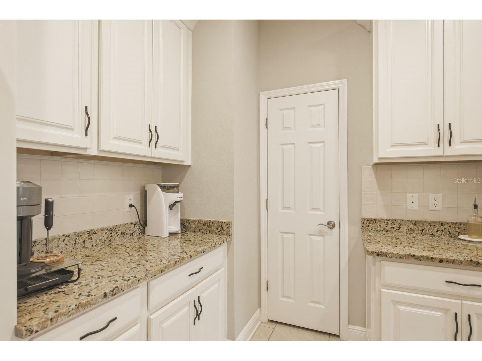 11636 Crowned Sparrow Lane Tampa FL 33626 W7884226 image16