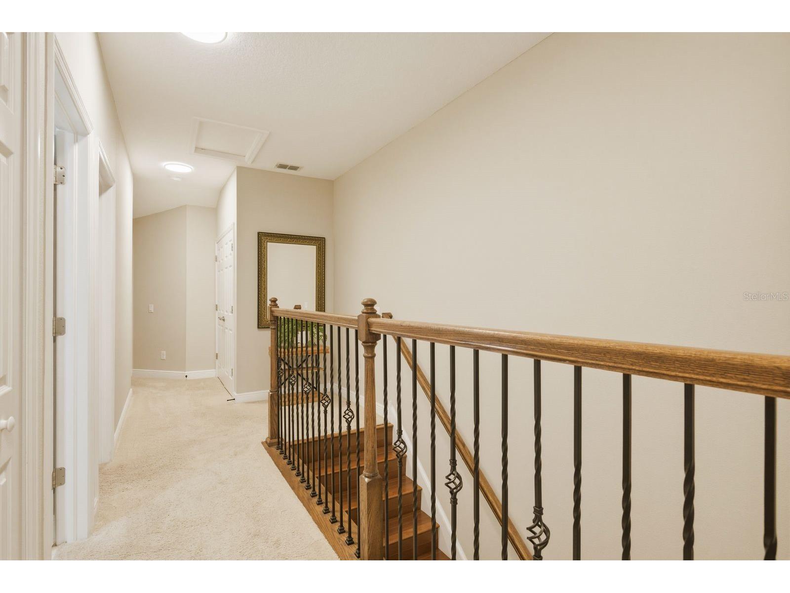 11636 Crowned Sparrow Lane Tampa FL 33626 W7884226 image18