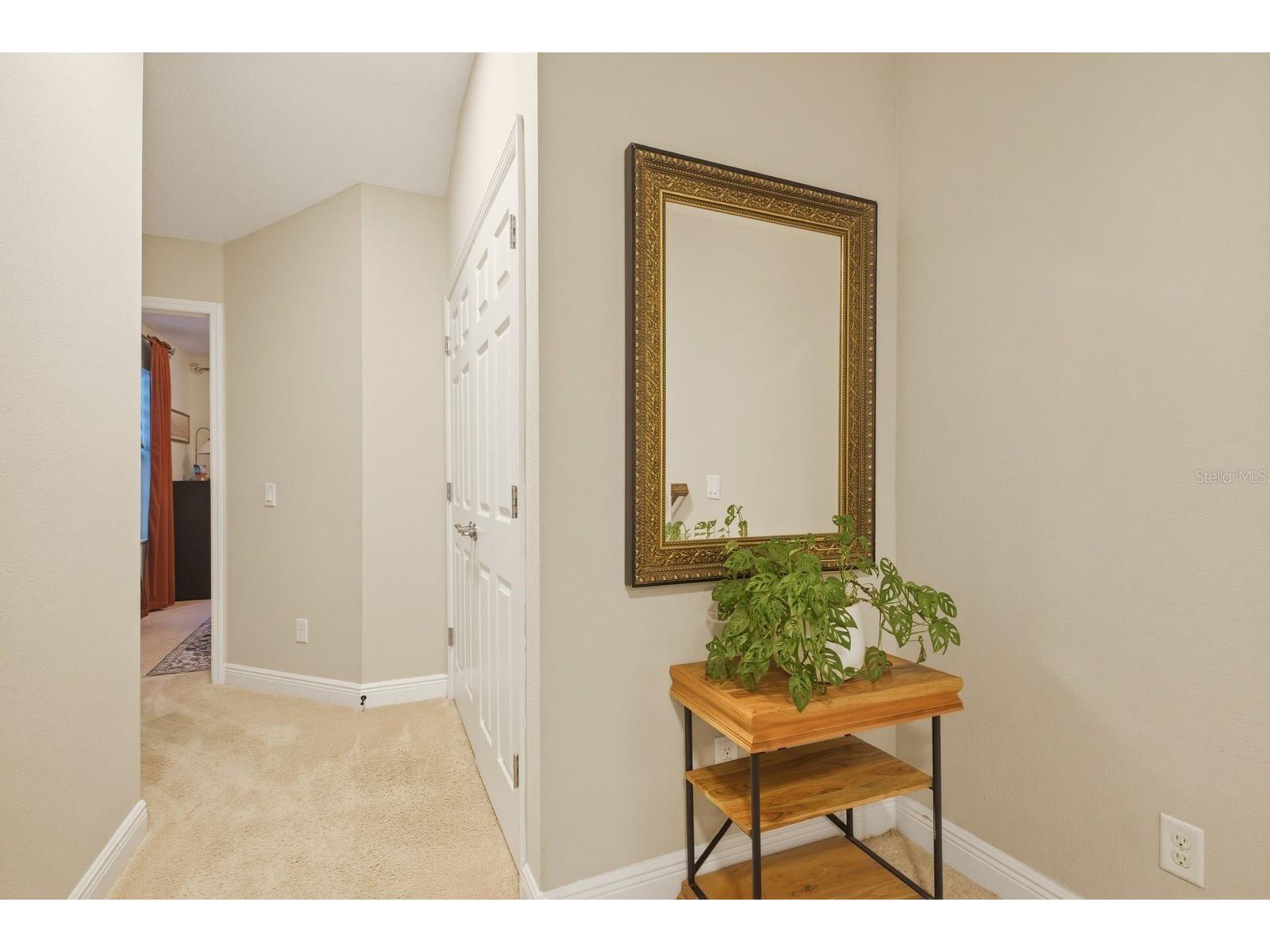 11636 Crowned Sparrow Lane Tampa FL 33626 W7884226 image20