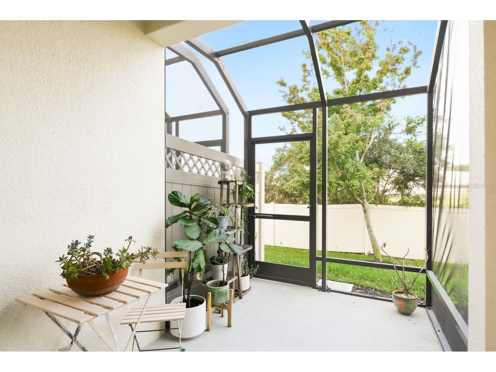 11636 Crowned Sparrow Lane Tampa FL 33626 W7884226 image31