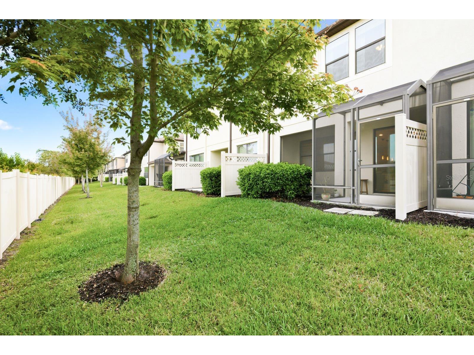 11636 Crowned Sparrow Lane Tampa FL 33626 W7884226 image35