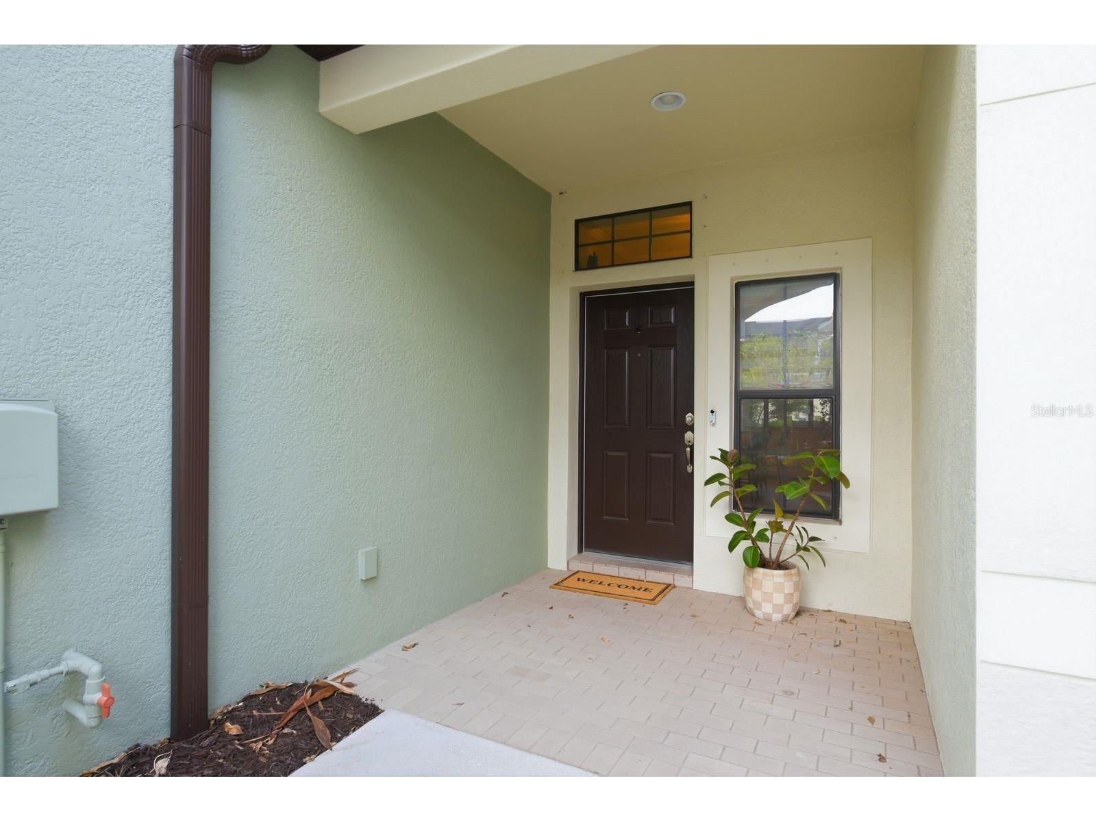 11636 Crowned Sparrow Lane Tampa FL 33626 W7884226 image4