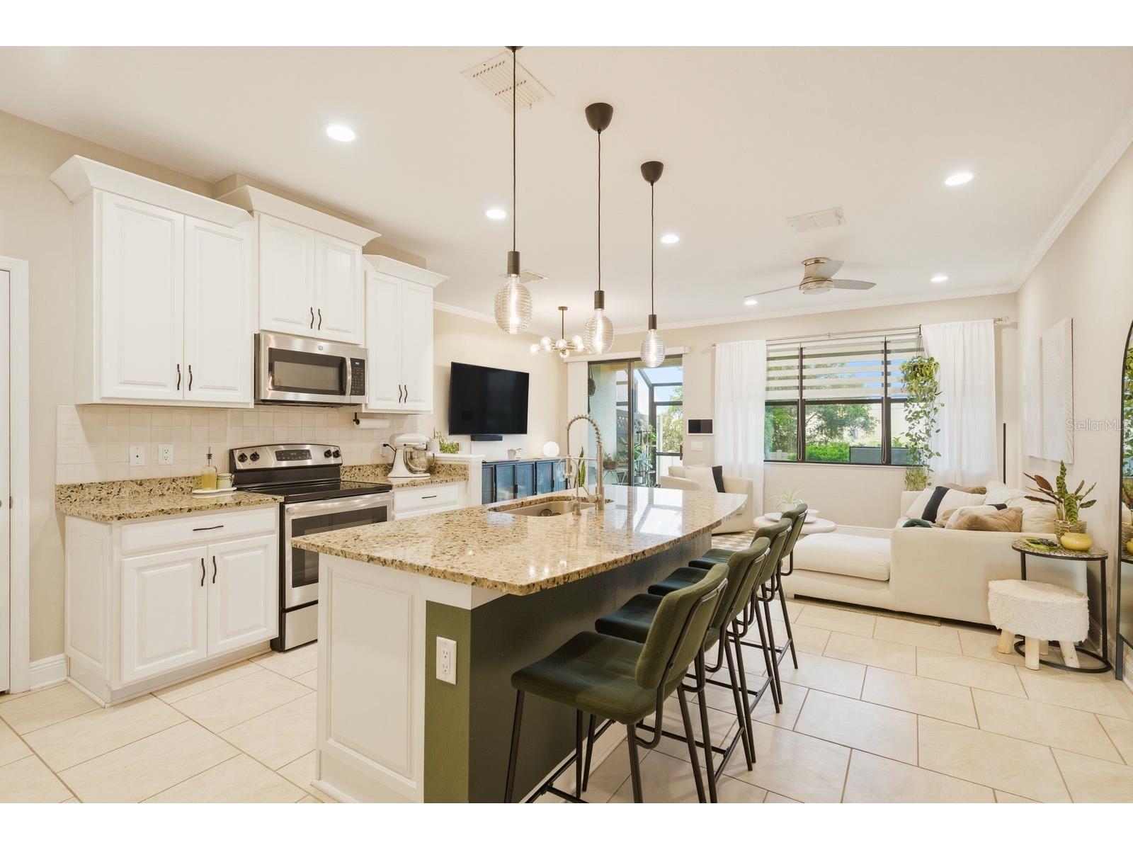 11636 Crowned Sparrow Lane Tampa FL 33626 W7884226 image8