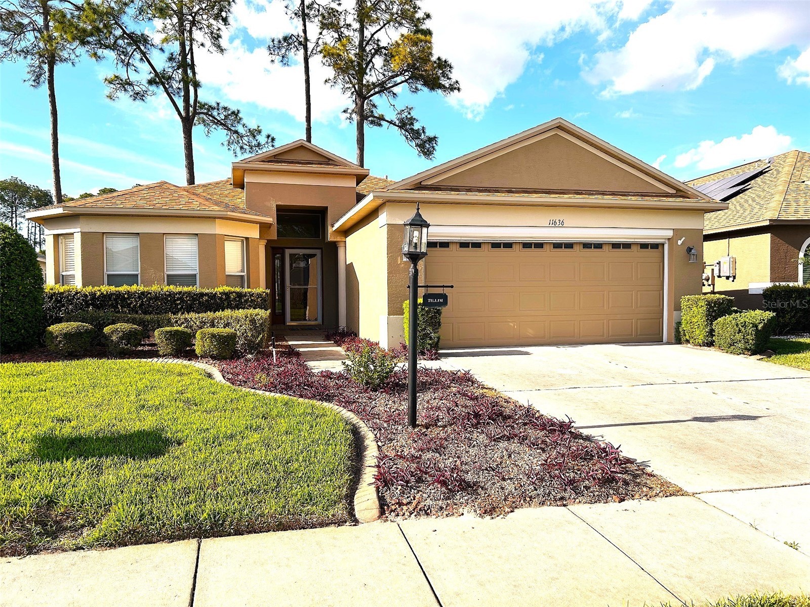 11636 Spindrift Loop Hudson FL 34667 TB8492656 image1