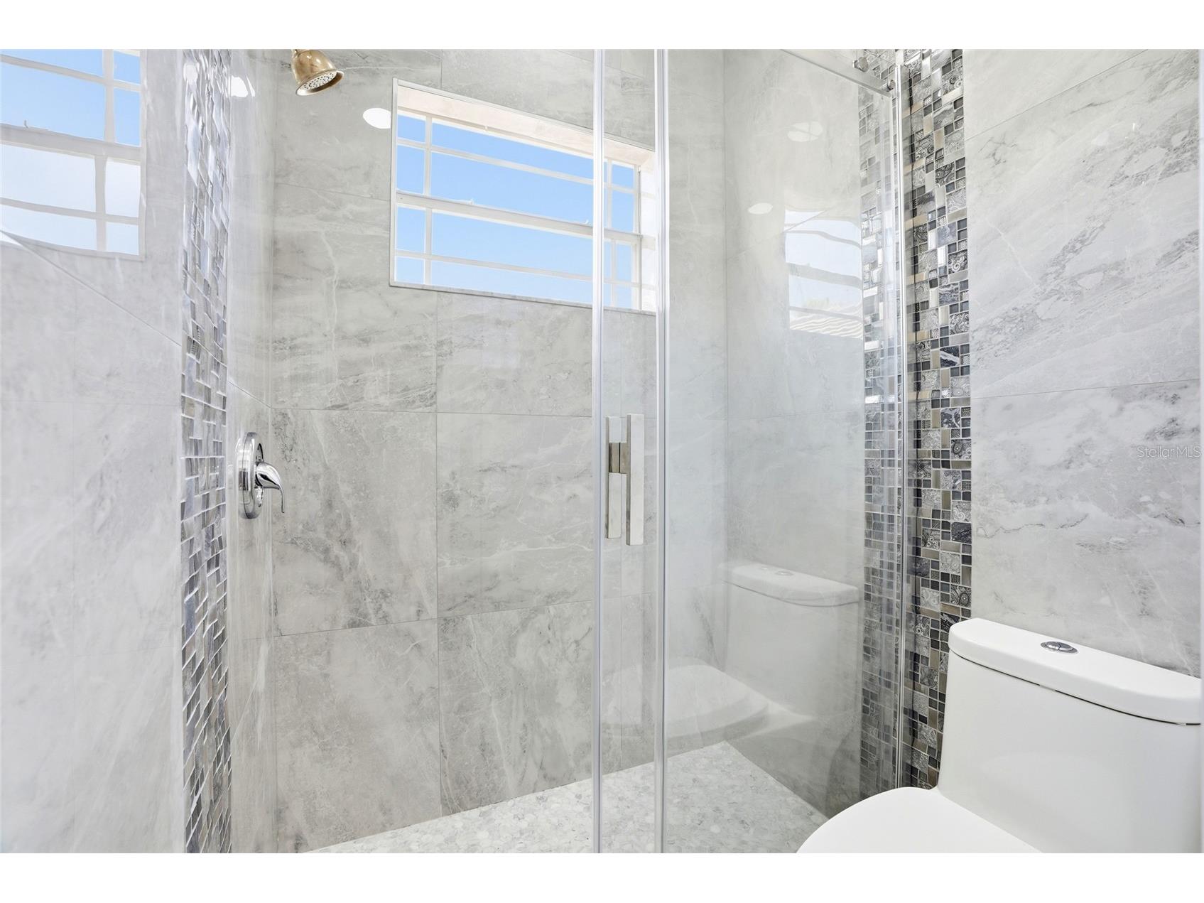 11637 Bristol Chase Drive Tampa FL 33626 TB8490037 image49
