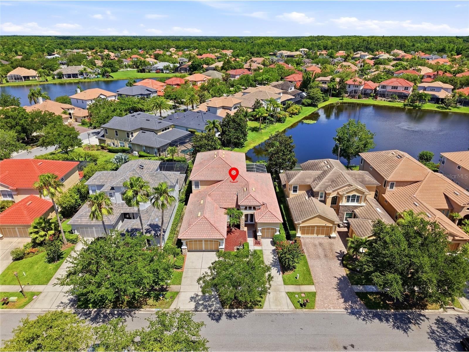 11637 Bristol Chase Drive Tampa FL 33626 TB8490037 image68