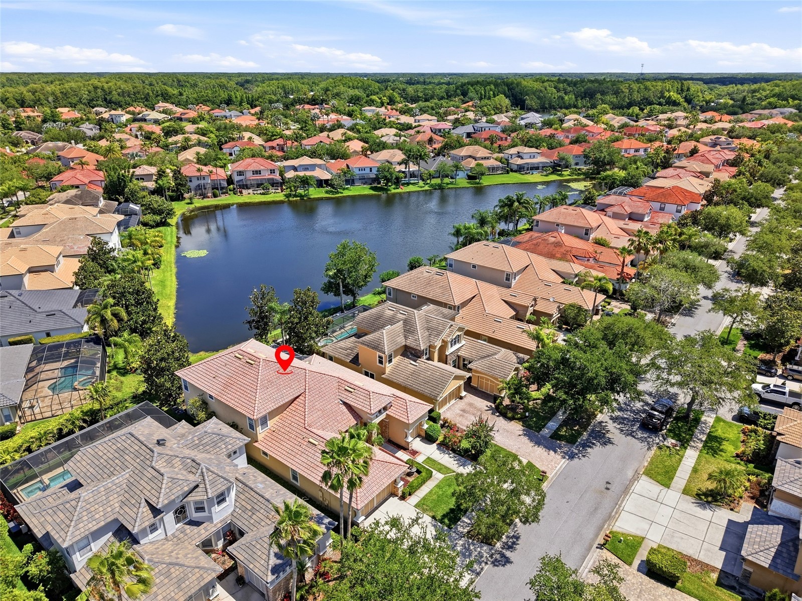 11637 Bristol Chase Drive Tampa FL 33626 TB8490037 image69