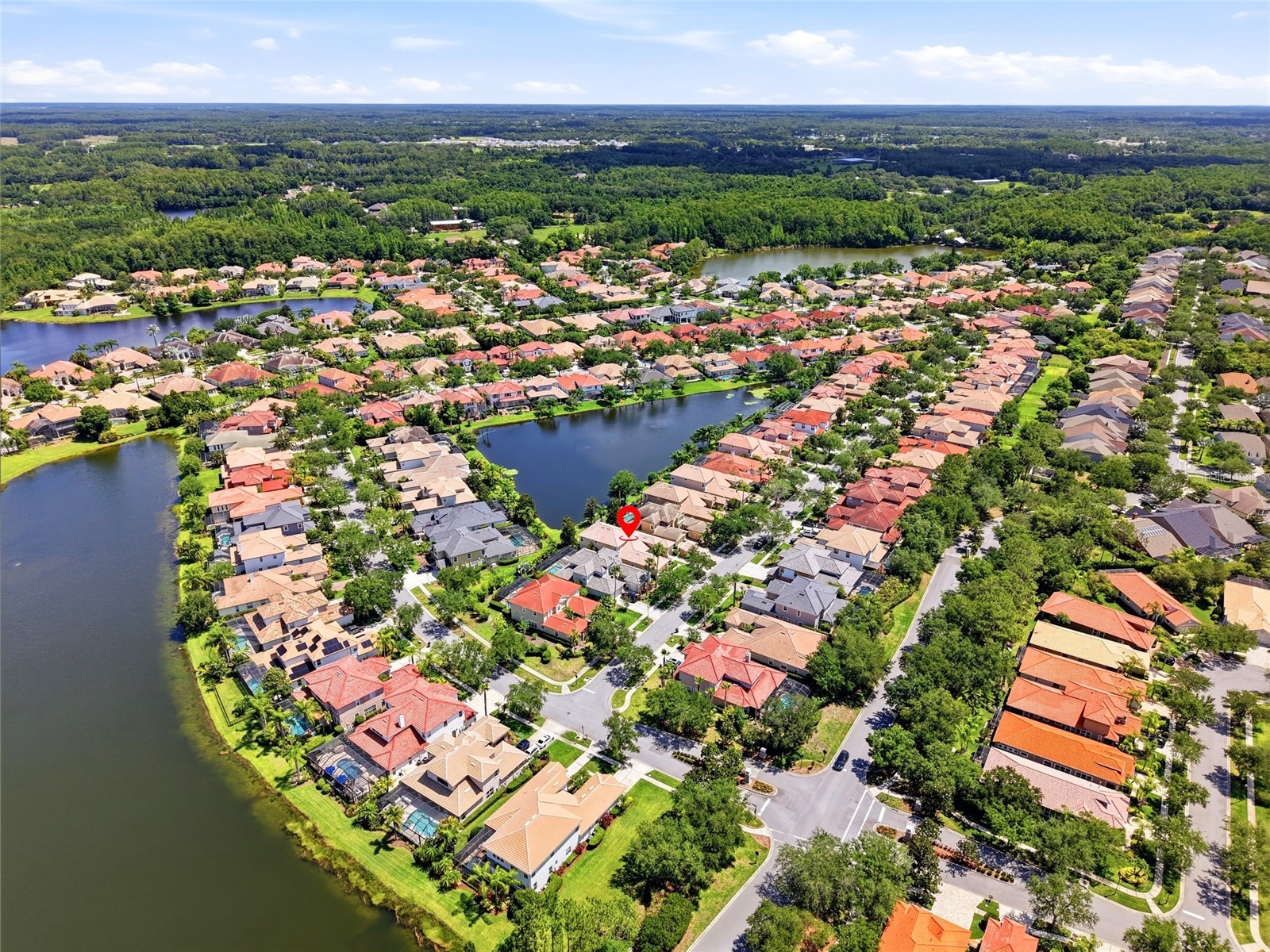 11637 Bristol Chase Drive Tampa FL 33626 TB8490037 image70