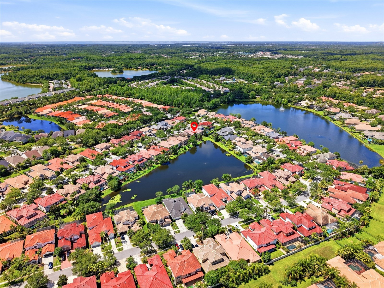 11637 Bristol Chase Drive Tampa FL 33626 TB8490037 image72