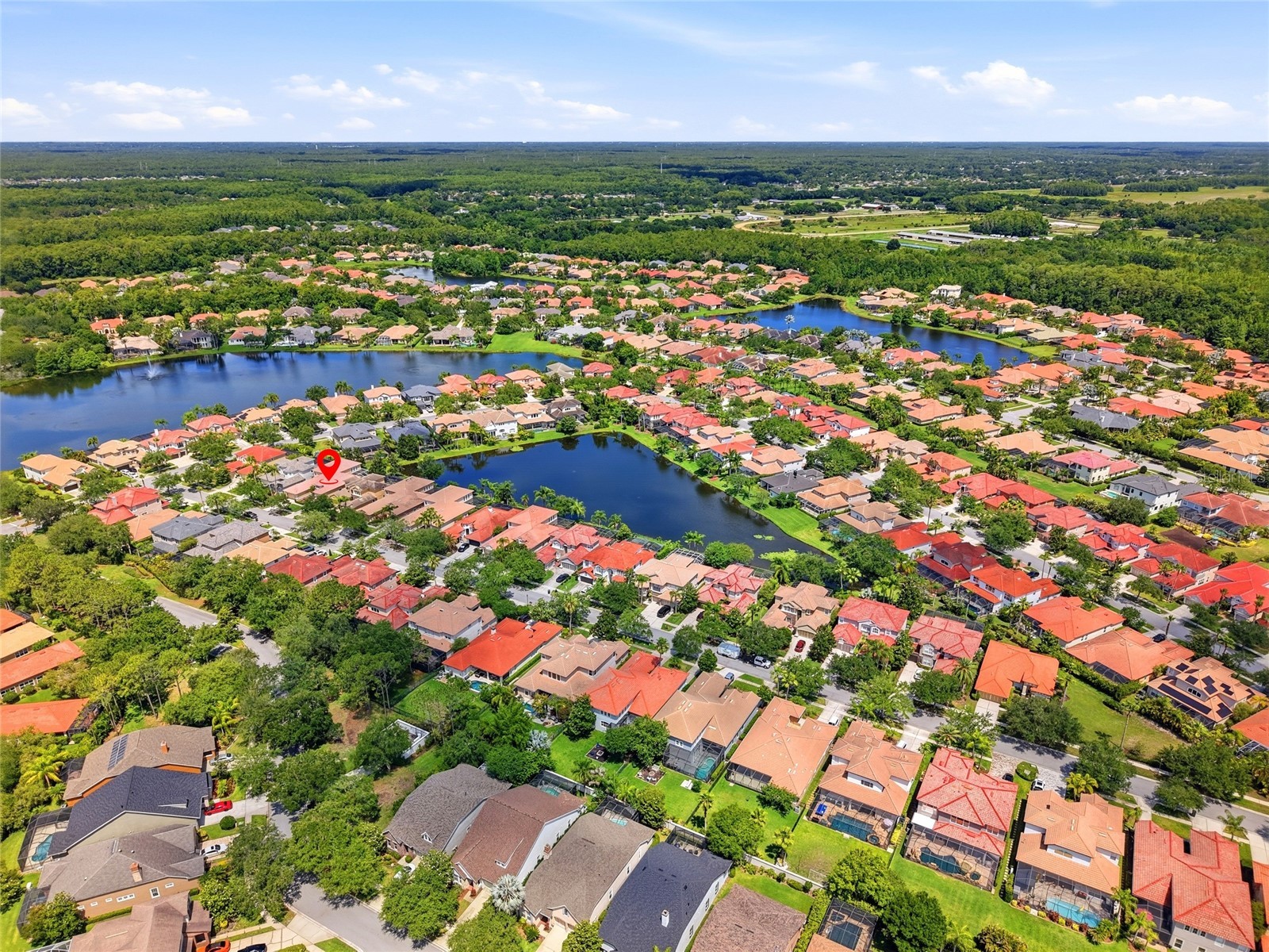 11637 Bristol Chase Drive Tampa FL 33626 TB8490037 image73