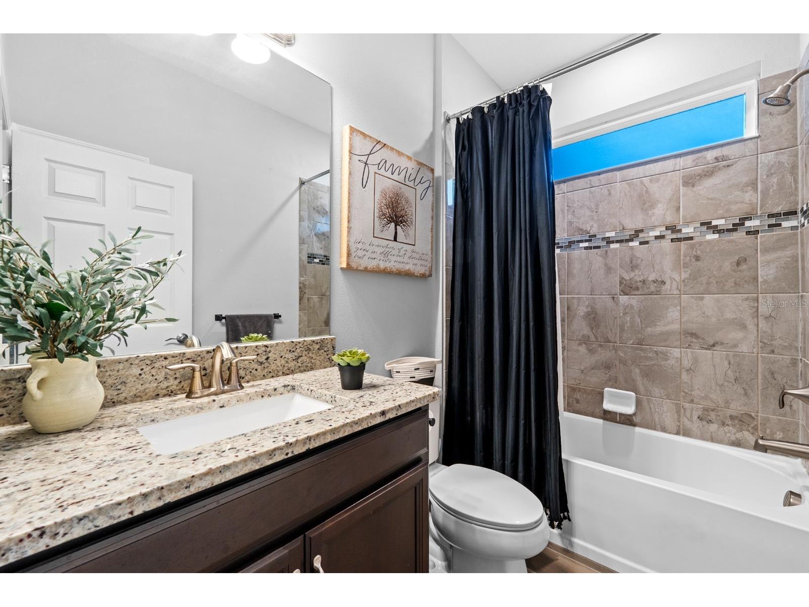 11637 Tetrafin Drive Riverview FL 33579 TB8505644 image20