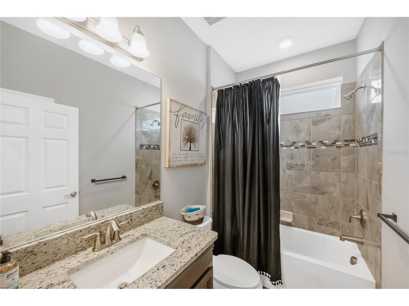 11637 Tetrafin Drive Riverview FL 33579 TB8532152 image23