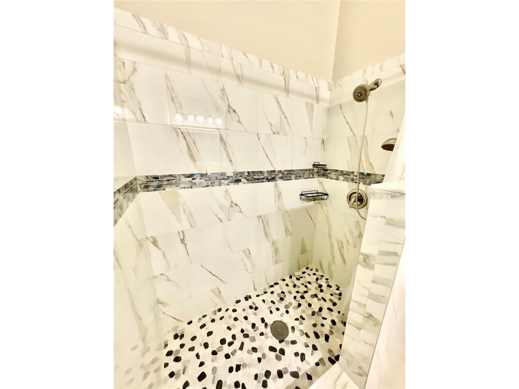 11638 Hidden Hollow Tampa FL 33635 TB8430359 image11