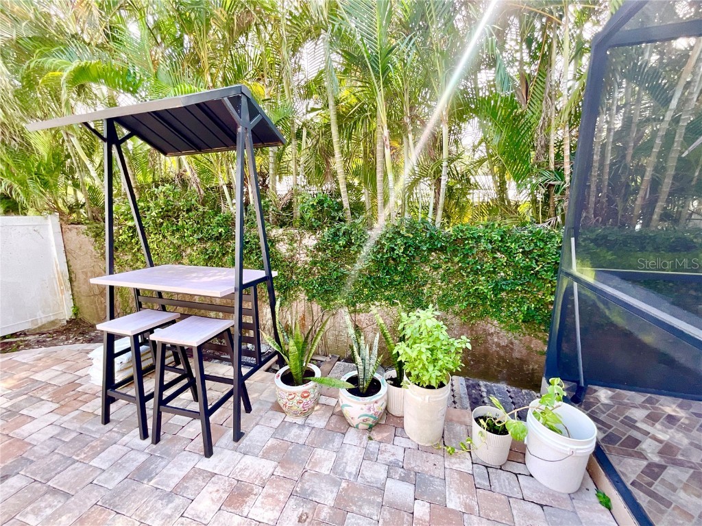 11638 Hidden Hollow Tampa FL 33635 TB8430359 image20