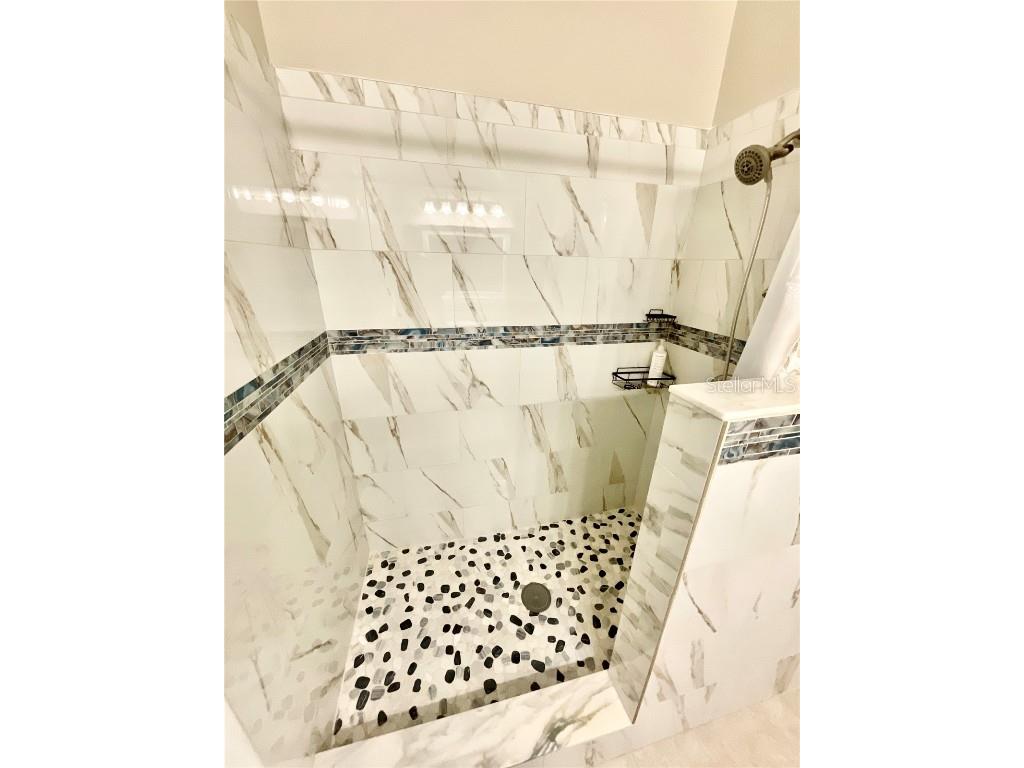 11638 Hidden Hollow Tampa FL 33635 TB8430359 image8