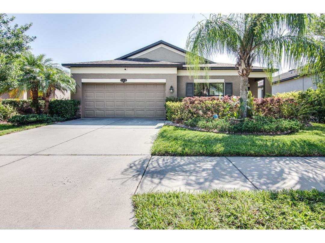 11638 Palmetto Pine Street Riverview FL 33569 T3451452 image1