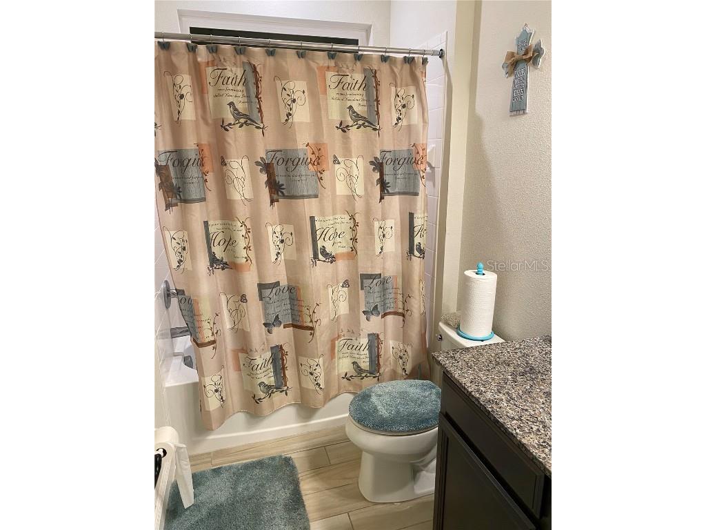 11638 Sweet Tangerine Lane Tampa FL 33626 TB8440606 image10