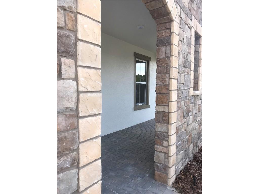 11638 Sweet Tangerine Lane Tampa FL 33626 TB8440606 image2