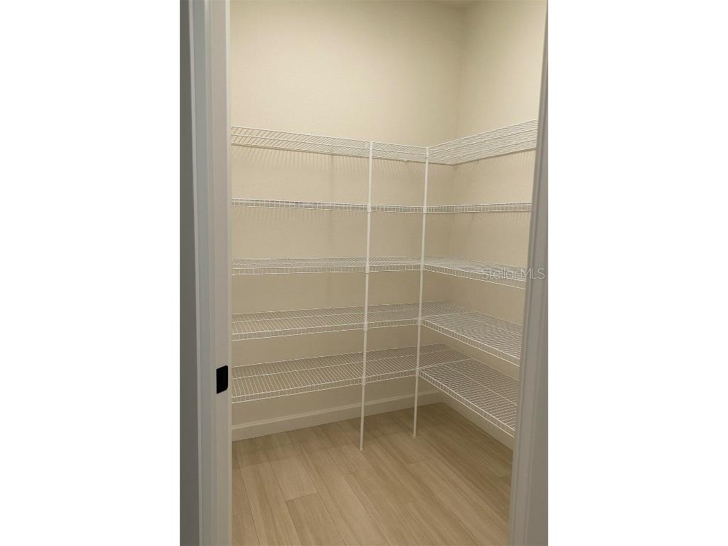 11638 Sweet Tangerine Lane Tampa FL 33626 TB8440606 image27