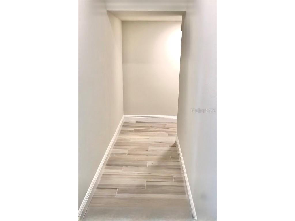 11638 Sweet Tangerine Lane Tampa FL 33626 TB8440606 image28