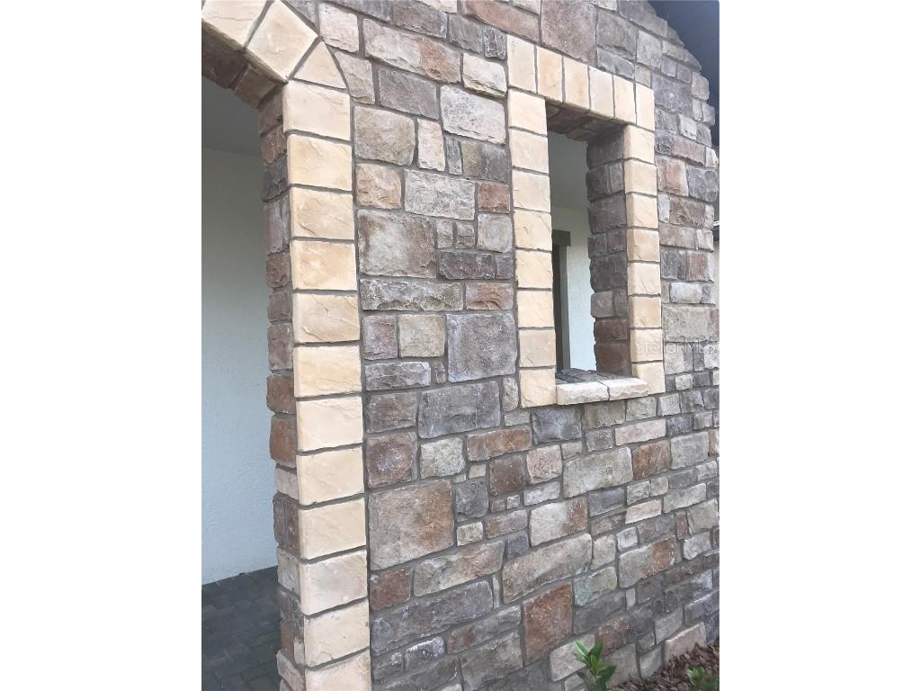 11638 Sweet Tangerine Lane Tampa FL 33626 TB8440606 image3