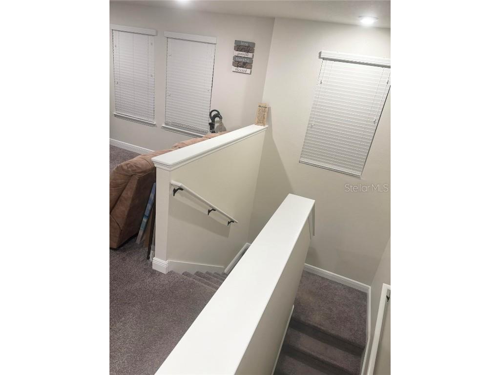 11638 Sweet Tangerine Lane Tampa FL 33626 TB8440606 image32