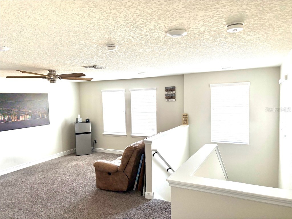 11638 Sweet Tangerine Lane Tampa FL 33626 TB8440606 image33