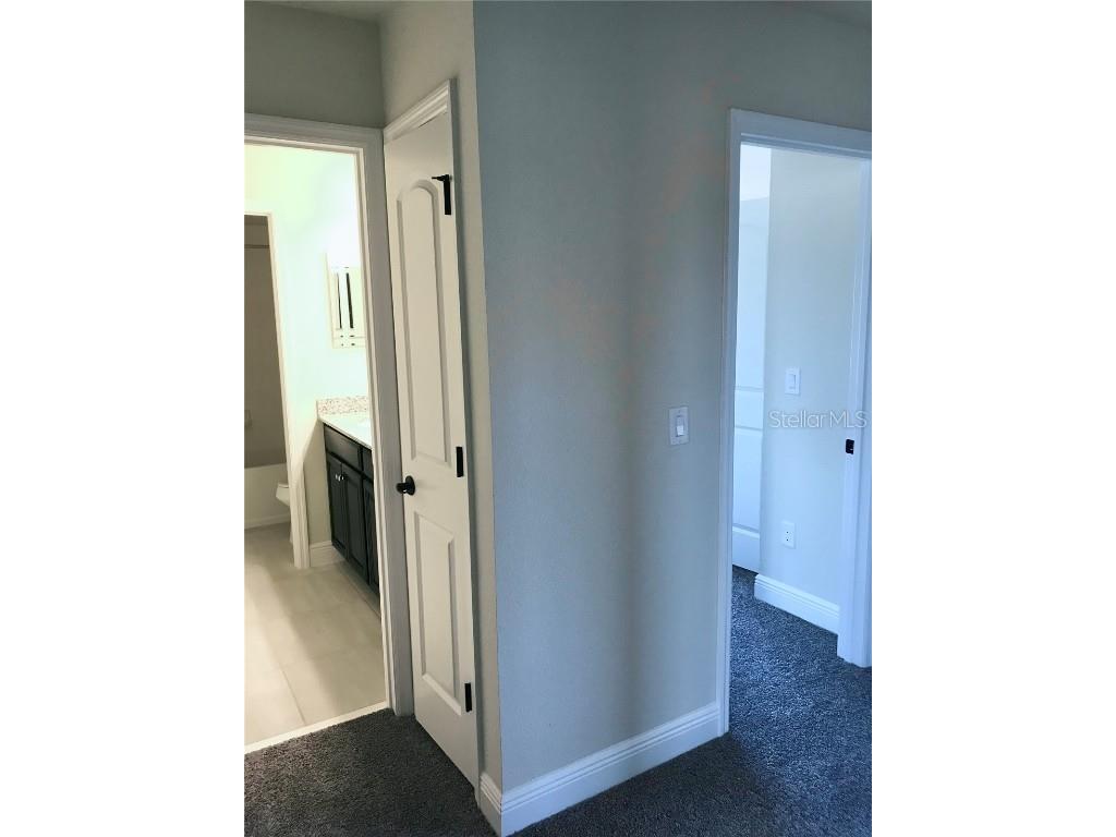 11638 Sweet Tangerine Lane Tampa FL 33626 TB8440606 image36