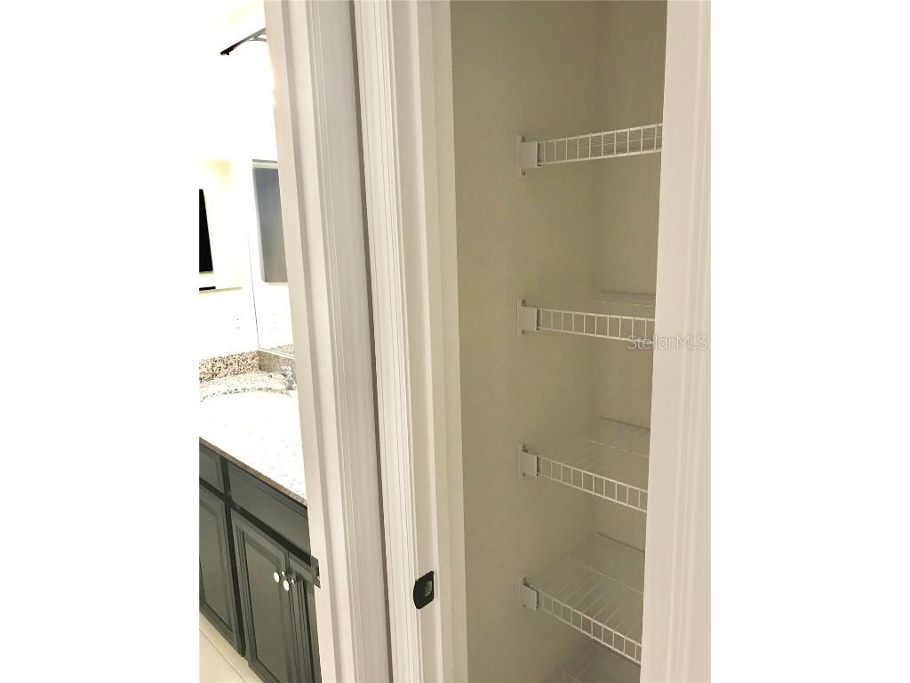 11638 Sweet Tangerine Lane Tampa FL 33626 TB8440606 image39