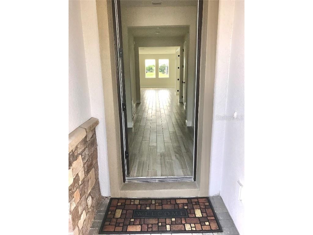 11638 Sweet Tangerine Lane Tampa FL 33626 TB8440606 image4