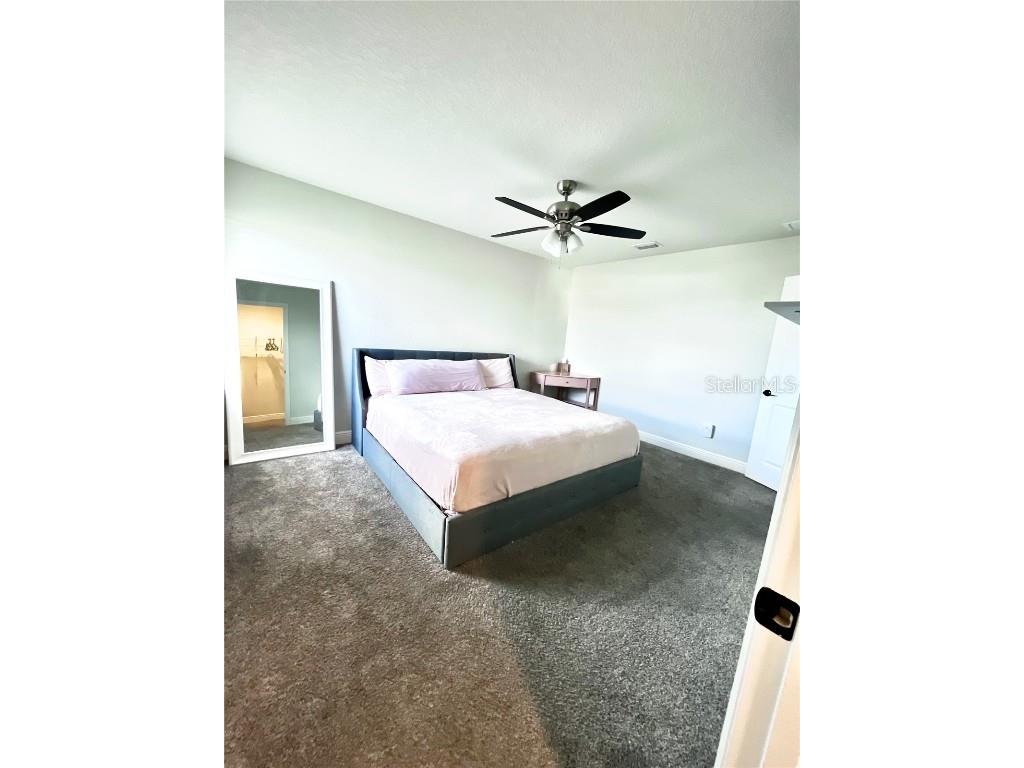 11638 Sweet Tangerine Lane Tampa FL 33626 TB8440606 image42