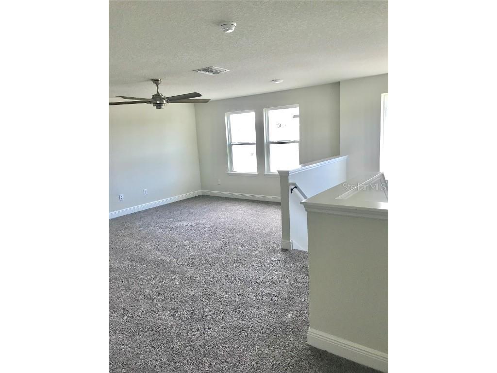 11638 Sweet Tangerine Lane Tampa FL 33626 TB8440606 image46