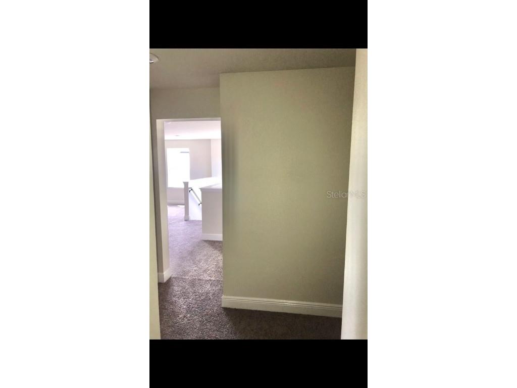 11638 Sweet Tangerine Lane Tampa FL 33626 TB8440606 image47