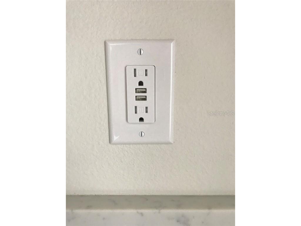 11638 Sweet Tangerine Lane Tampa FL 33626 TB8440606 image48