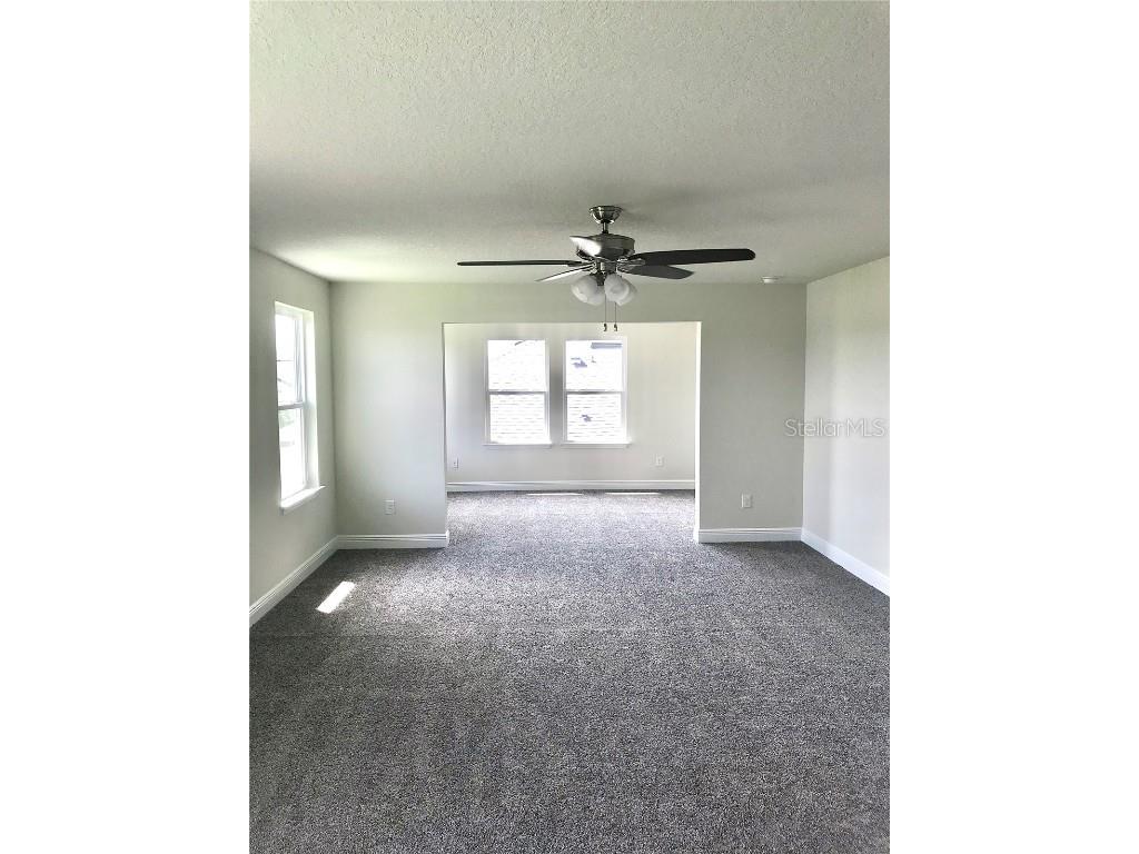 11638 Sweet Tangerine Lane Tampa FL 33626 TB8440606 image49