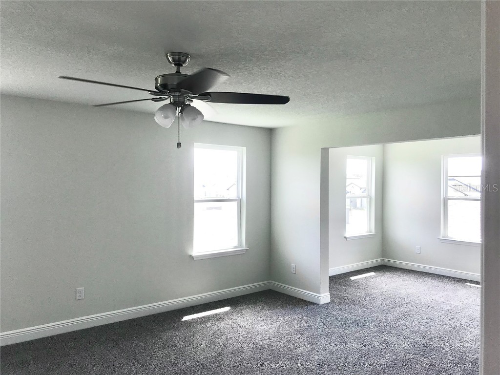 11638 Sweet Tangerine Lane Tampa FL 33626 TB8440606 image51