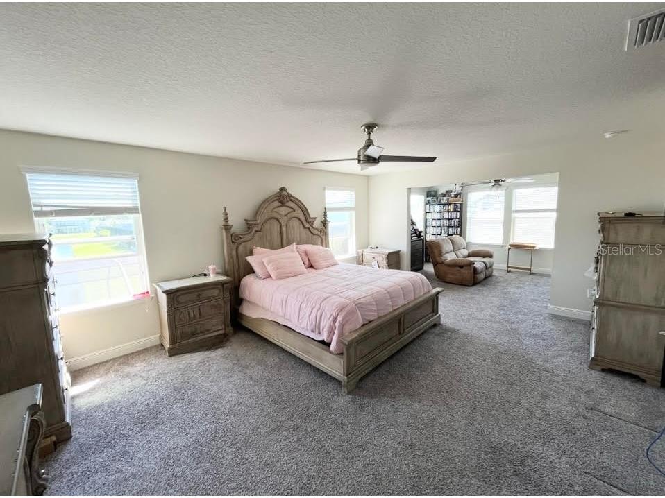 11638 Sweet Tangerine Lane Tampa FL 33626 TB8440606 image52