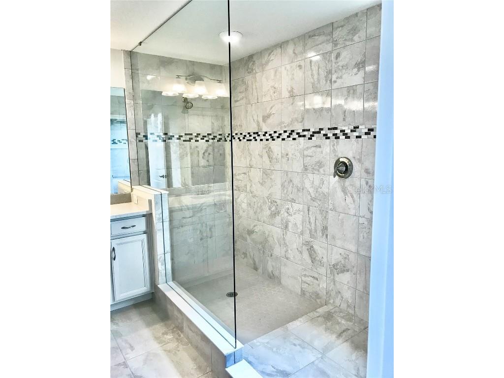 11638 Sweet Tangerine Lane Tampa FL 33626 TB8440606 image54