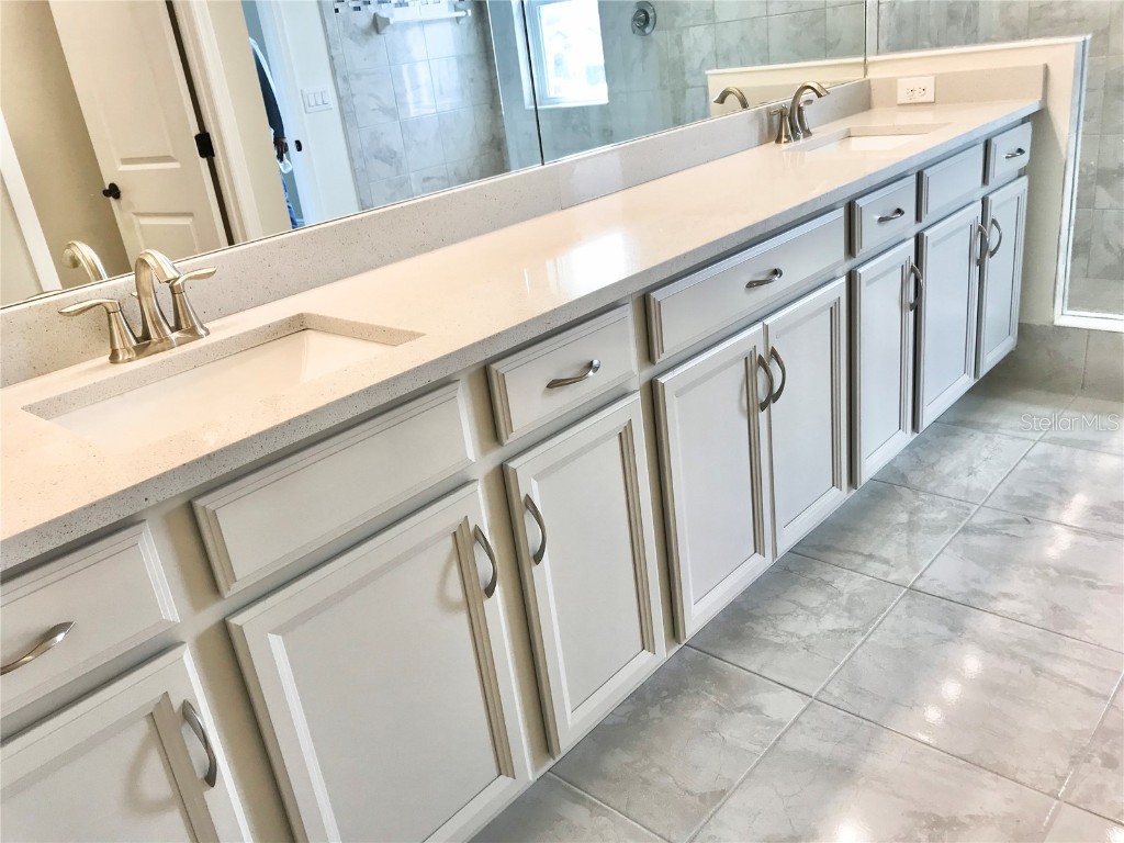 11638 Sweet Tangerine Lane Tampa FL 33626 TB8440606 image57