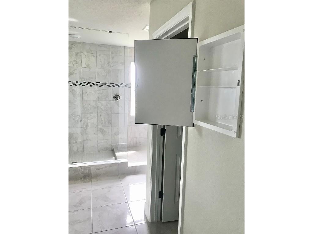 11638 Sweet Tangerine Lane Tampa FL 33626 TB8440606 image59