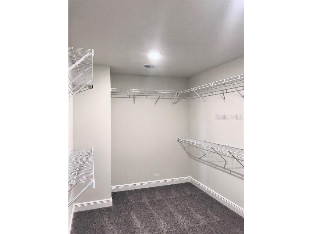 11638 Sweet Tangerine Lane Tampa FL 33626 TB8440606 image60