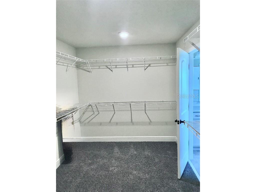 11638 Sweet Tangerine Lane Tampa FL 33626 TB8440606 image61