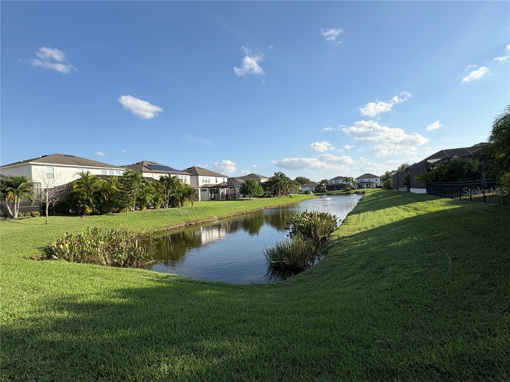 11638 Sweet Tangerine Lane Tampa FL 33626 TB8440606 image70