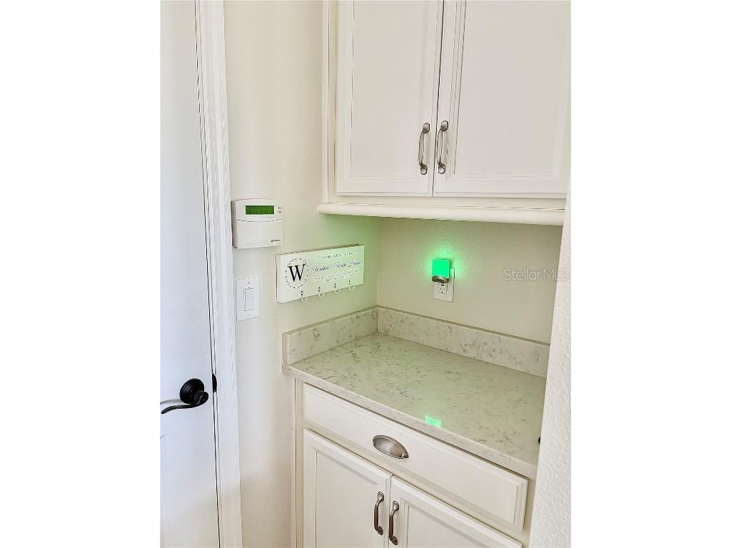 11638 Sweet Tangerine Lane Tampa FL 33626 TB8440606 image71