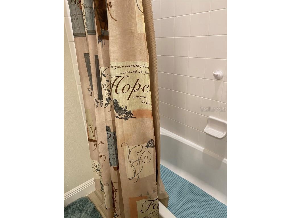 11638 Sweet Tangerine Lane Tampa FL 33626 TB8440606 image9