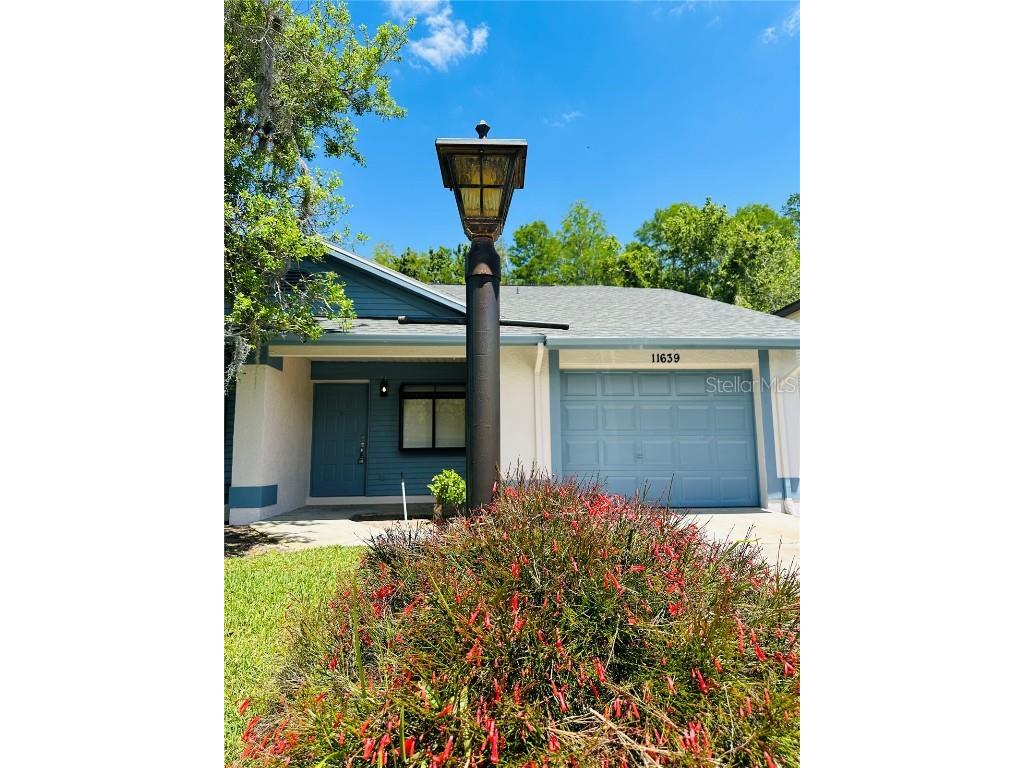 11639 Scotch Pine Drive New Port Richey FL 34654 T3521252 image1