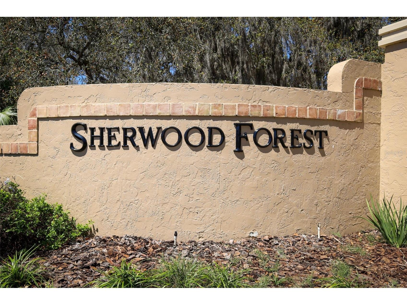 11639 Shilpa Court Orlando FL 32817 O6393622 image48