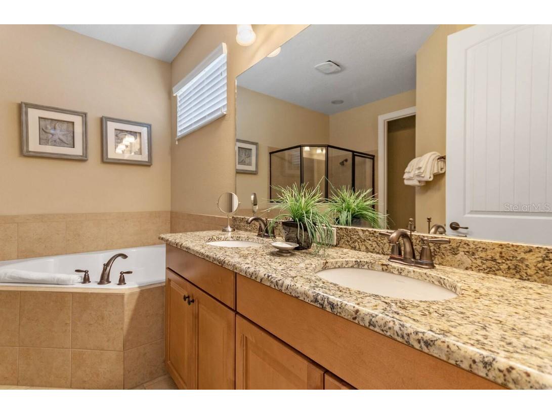 1164 Castle Pines Court Reunion FL 34747 O6319916 image26