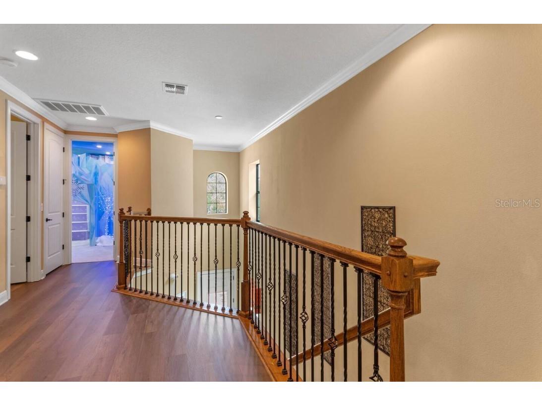 1164 Castle Pines Court Reunion FL 34747 O6319916 image29